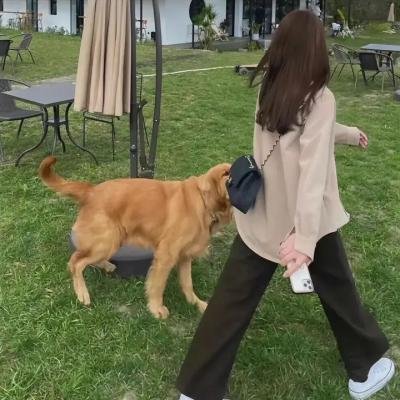 无法隐藏的本能:偷拍